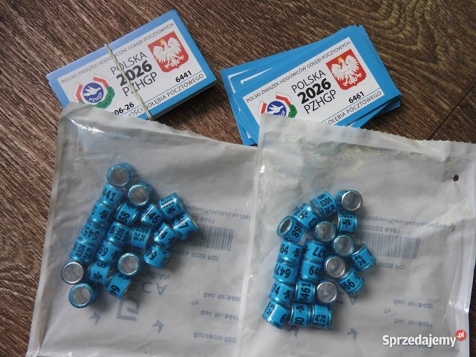 Obrączki gołębi 2026 z kartami 40 Bytom