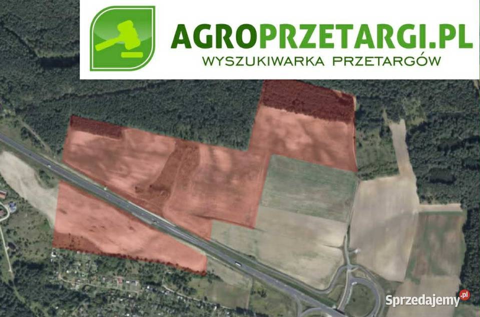 Dzierżawa 5093 ha gruntu rolnego wielkopolskie Czarnków