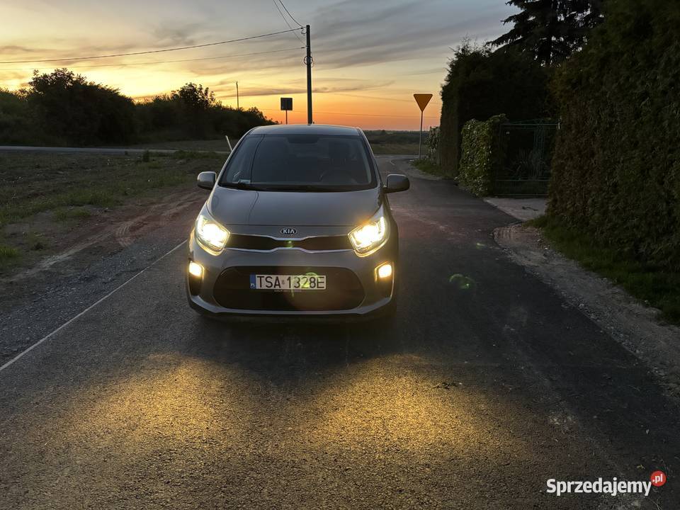 Kia Picanto Business Line 12 Automat Rok produkcji 2019 Sandomierz