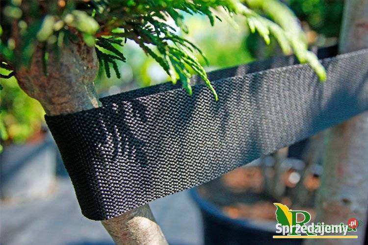 TAŚMA tkana OGRODNICZA do podwiązywania drzewek mazowieckie Cieśle