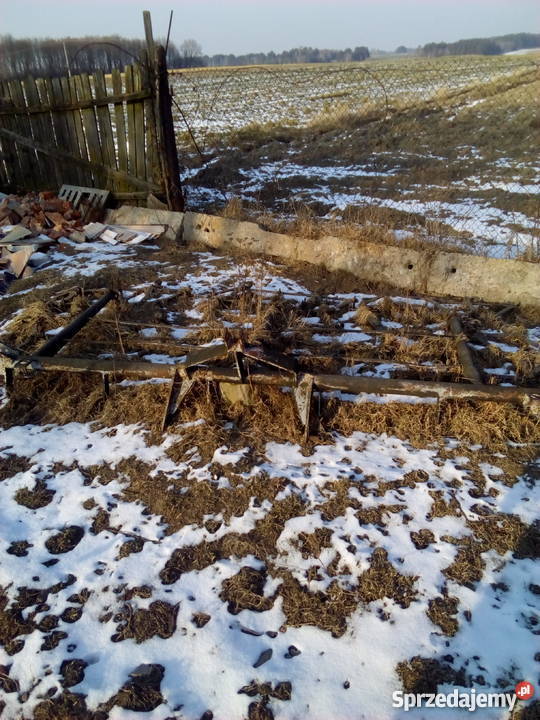 Kombajn zbożowy CLASS brony siewnik orkan wozy Kłobuck