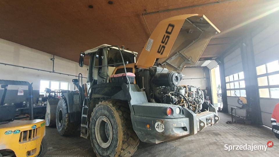 LIEBHERR L R XPower Usuwanie Wyłączanie Adblue Katowice