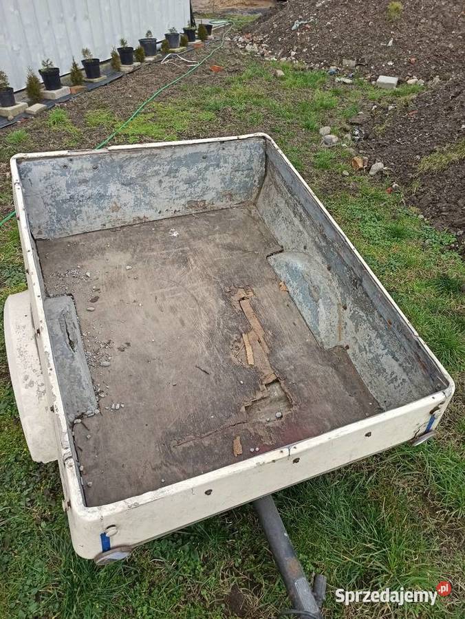 Przyczepka przyczepa Niewiadów n250 na cytrynach Poznań