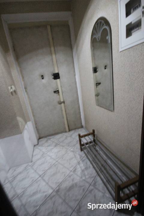 2pok 50met Krętej ROZKŁAD PIWNICA PARKING dolnośląskie Wrocław