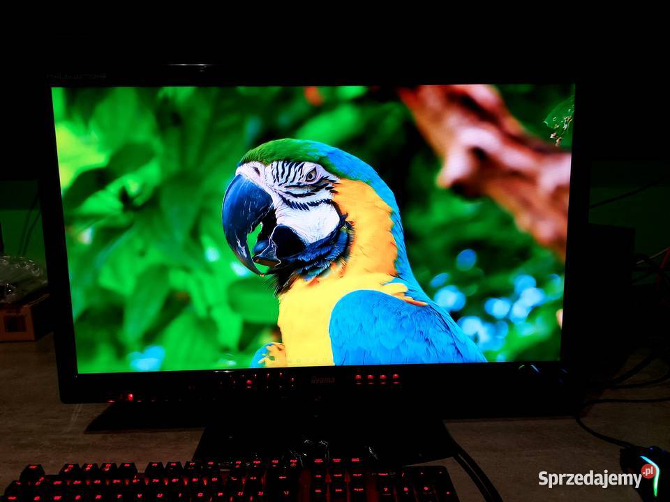 iiyama ProLite G2773HS 27 120hz 300cd 10001 głośniki Kraków
