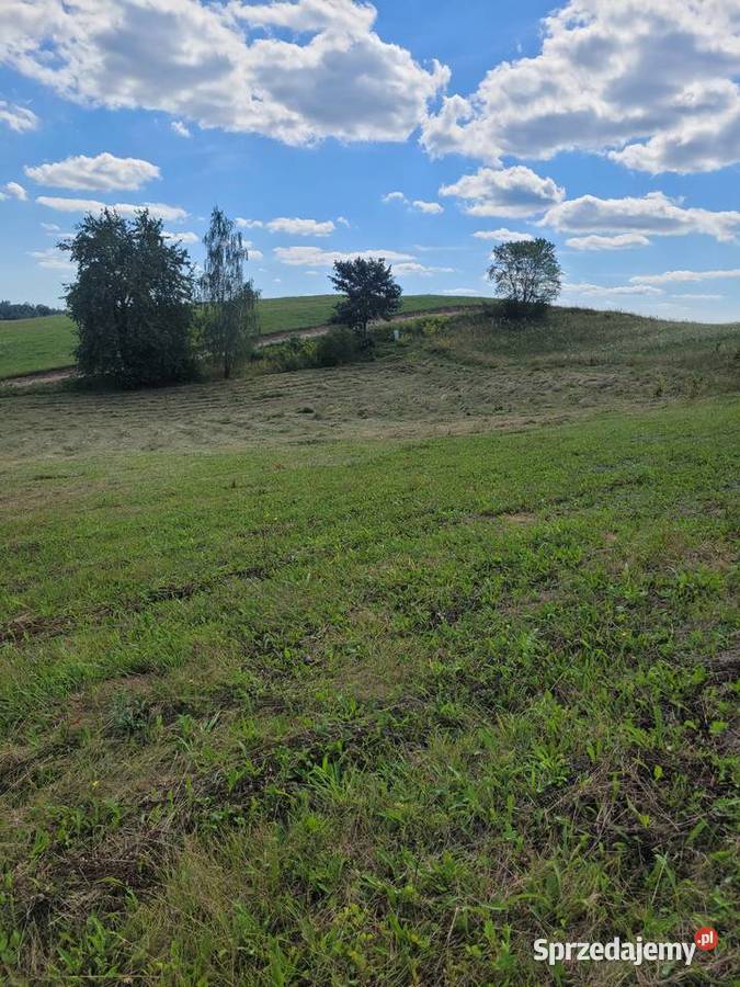 Działka budowlana LubiewoMikołajki Olsztyn