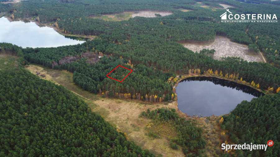Grunt sprzedam 705m2 Wdzydze Sprzedaż