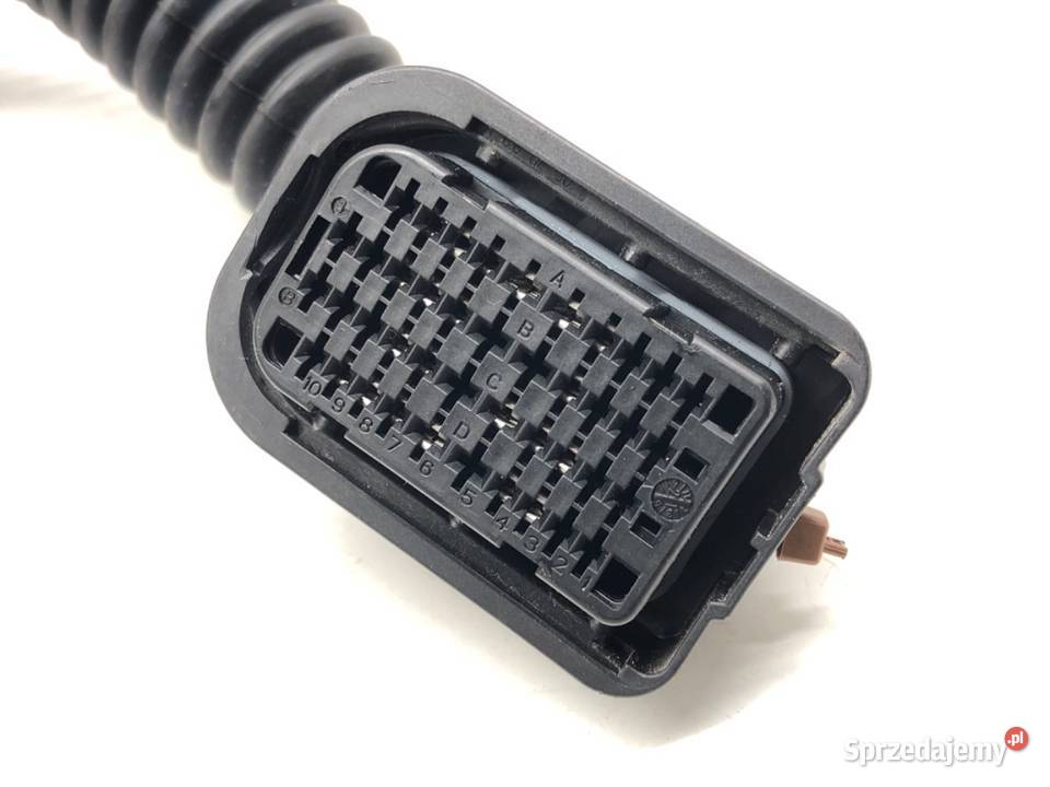 WIĄZKA DRZWI PRZÓD LEWA RENAULT CLIO V 10 91 osobowe Drzwi sprzedam