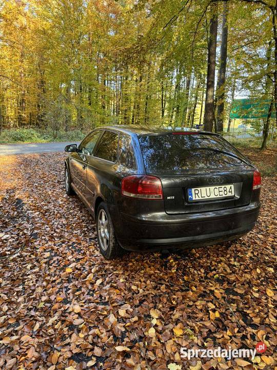 Audi a3 8p 20 TDI Narol