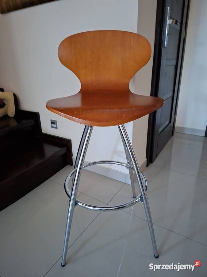 Hoker barowy ciekawy Nowa Sól