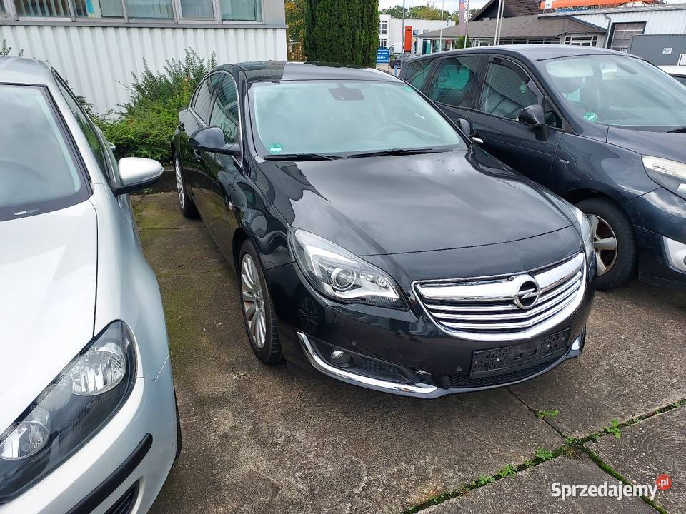 Opel insignia Goraj