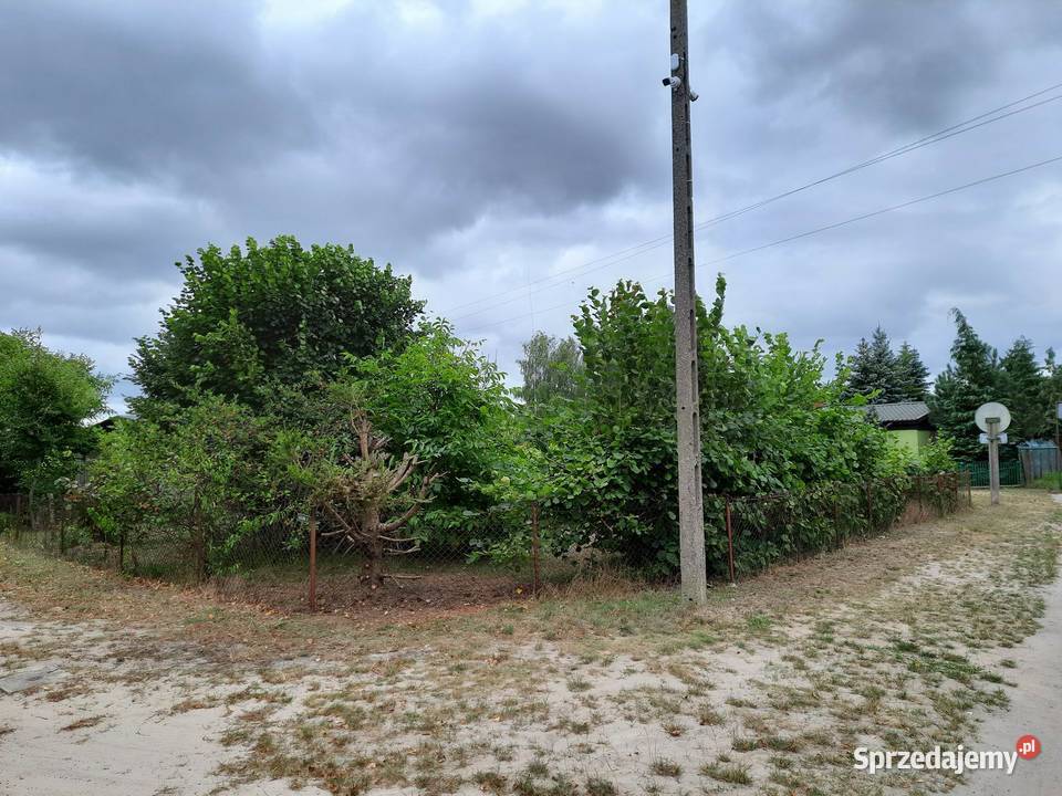 Działka ROD Złote Piaski Glinno k Nowego Tomyśla Nowy Tomyśl