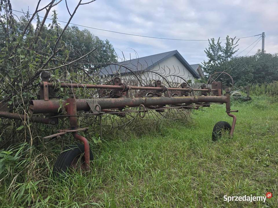Zgrabiarka 5 gwiazdkowa Płock