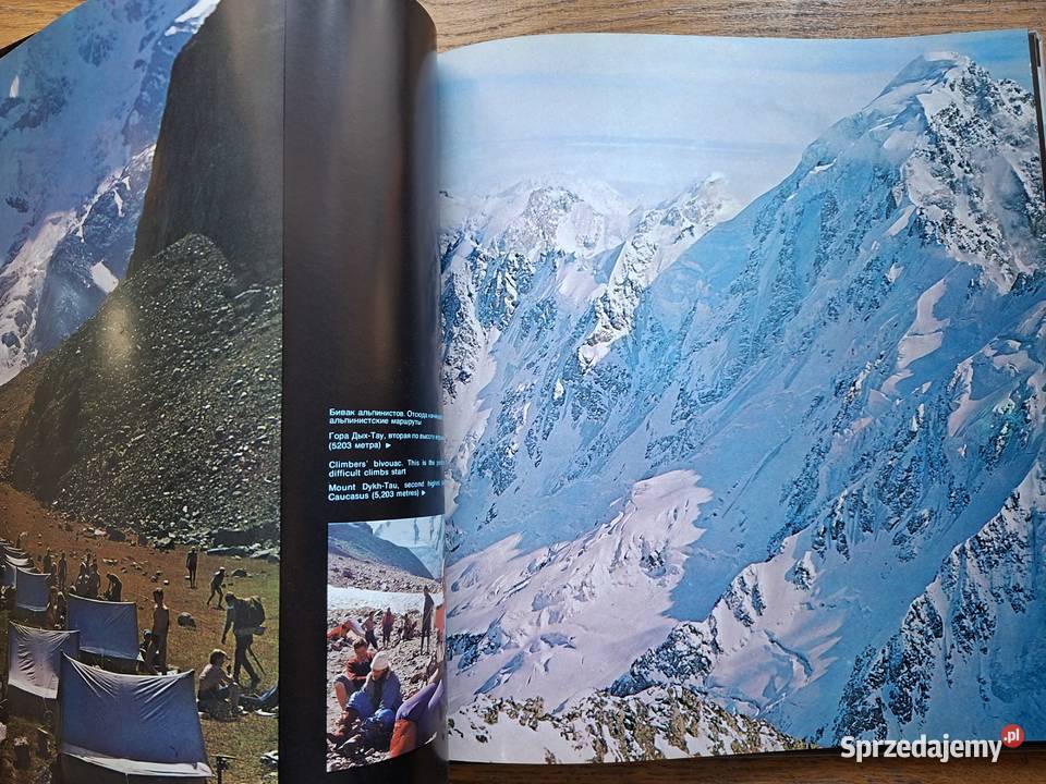 The Heights ahead VGippenreiter j angielski i Książki naukowe i popularnonaukowe Kraków