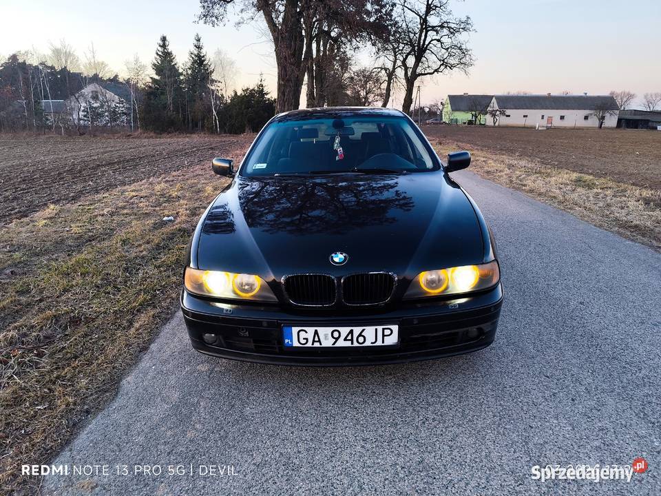 E39 30d 194 5 Manualbez Nivo bezwypadkowa kujawsko-pomorskie