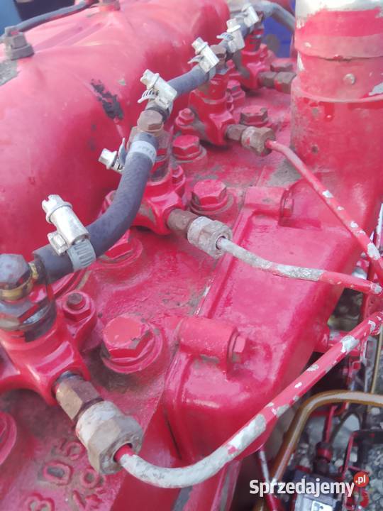 Silnik international case d 239 4 cylindrowy ihc