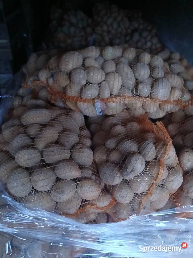 Sprzedam ziemniaki łódzkie sprzedam