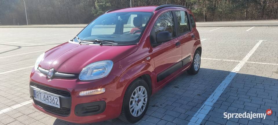 Panda z lpg Tarnobrzeg