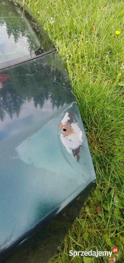 Maska drzwi lewy przód kierowncy klapa tył Kielce