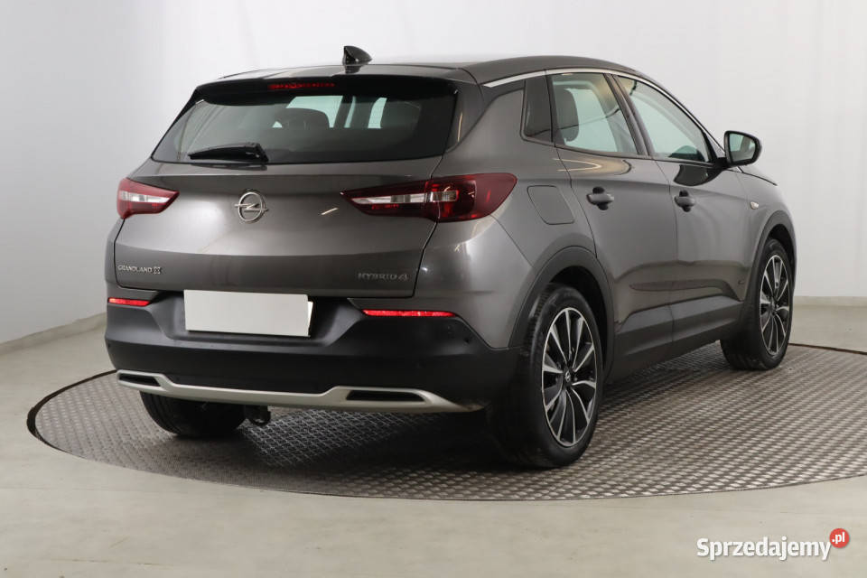 Opel Grandland Plugin Hybrid4 Rok produkcji 2020 Grandland X śląskie Zabrze