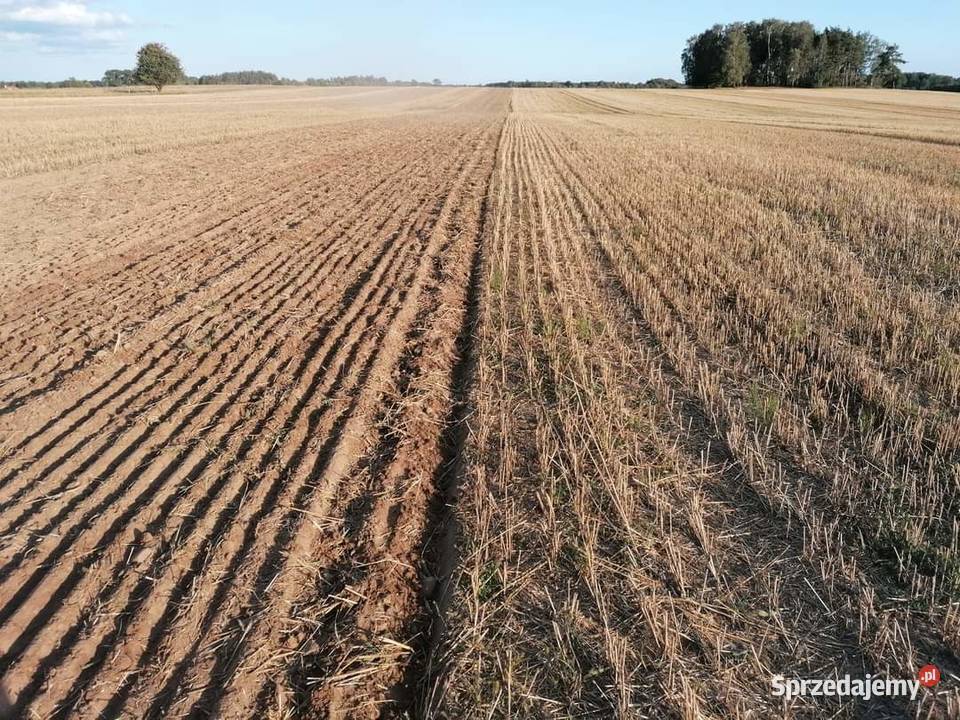 Agregat talerzowy Akpil Tigre nie unia ares Choroszcz sprzedam
