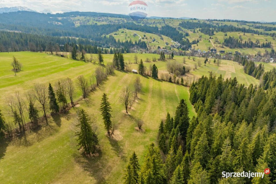 DZIAŁKA ROLNA SPRZEDAŻ ZĄB LIGASÓWKA Ząb
