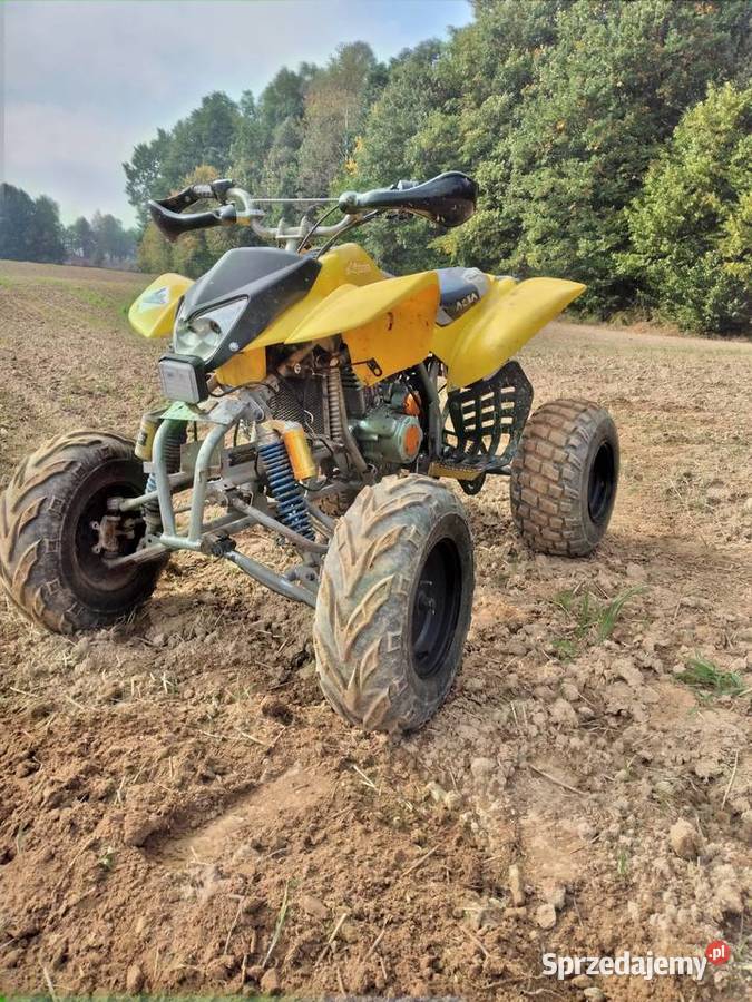 Quad Bashan 250 zarejestrowany na katB garażowany pomorskie Sierakowice