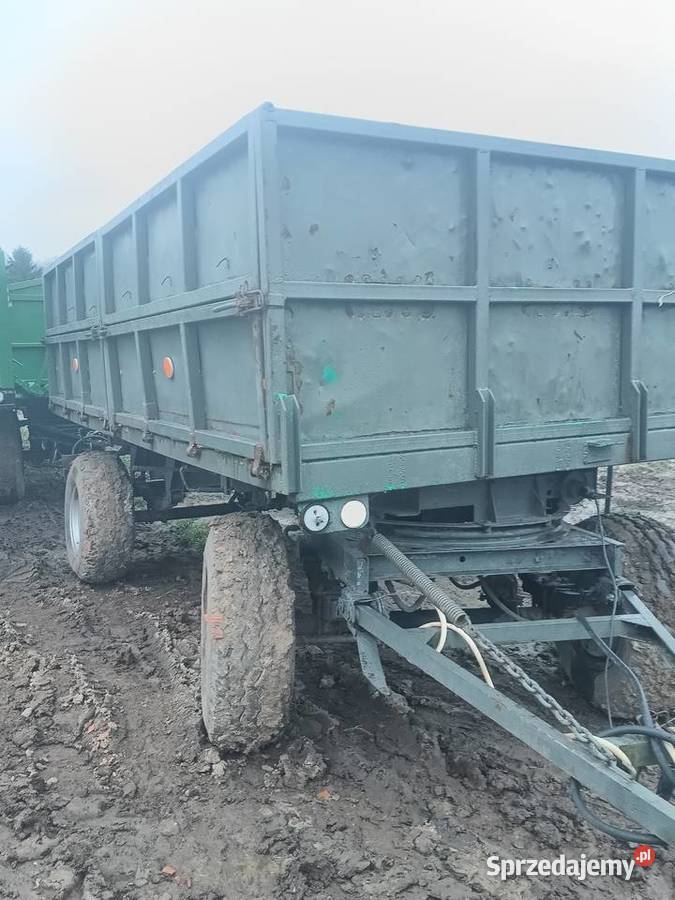 Przyczepa czeska brandys