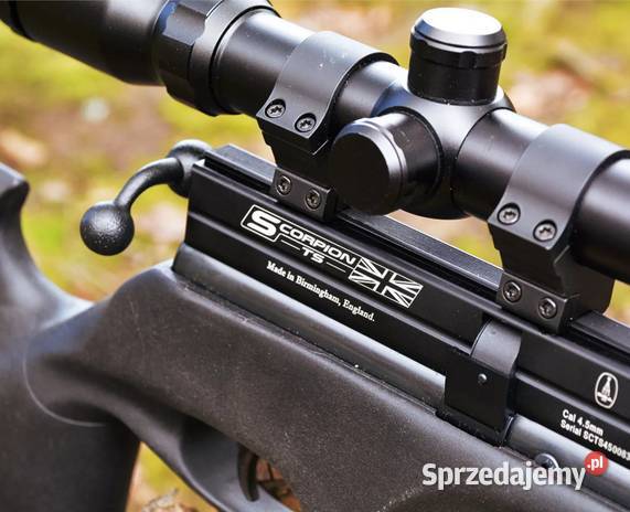 Wiatrówka BSA Scorpion TS 55mm niekokesz wielkopolskie Trzcianka