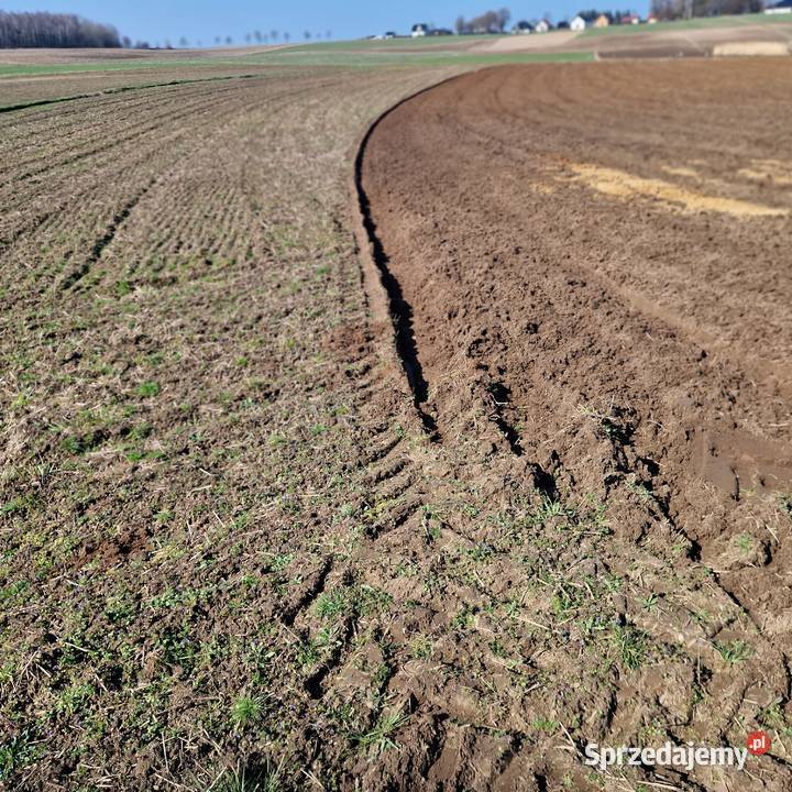pług 4skibowy 31 obrotowy Eberhardt d110 nieuszkodzony Pługi Bolesławiec