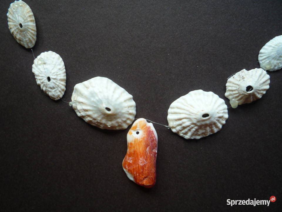 Nowe Korale Naszyjnik z muszelek
