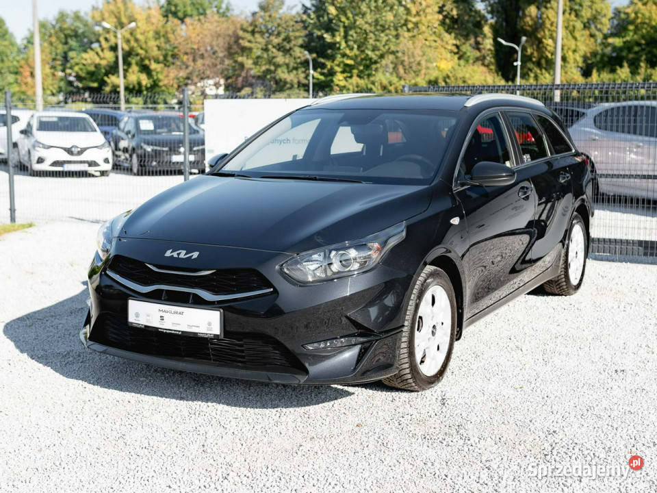 Kia Ceed WA5659H15 TGDI M DCT 2 stref klima Kcof 160KM