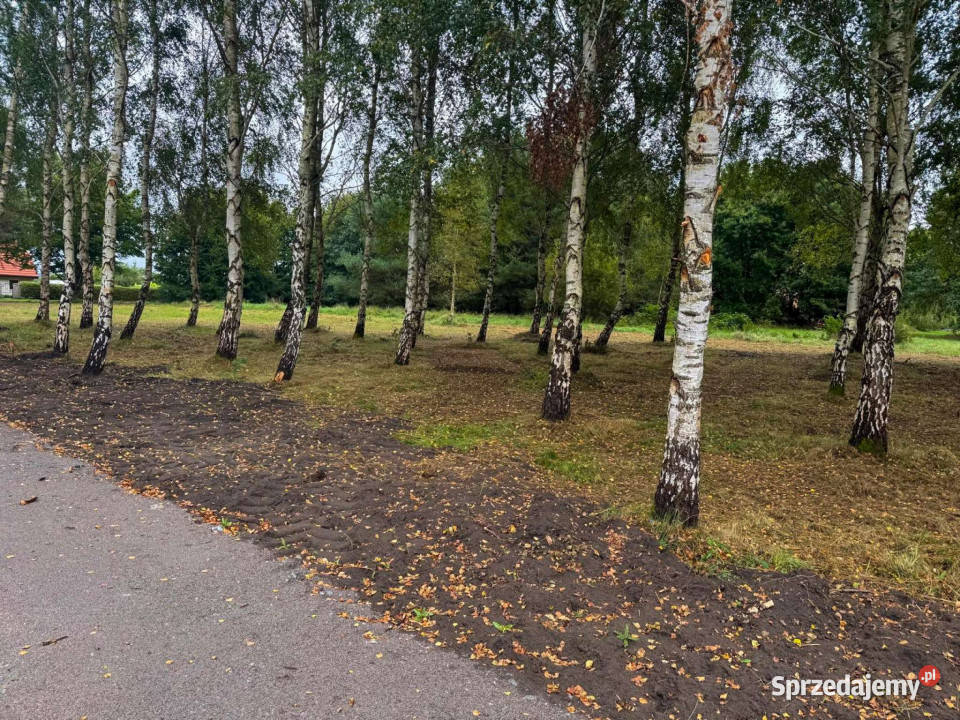 Działka budowlana z laskiem Darłowo sprzedam