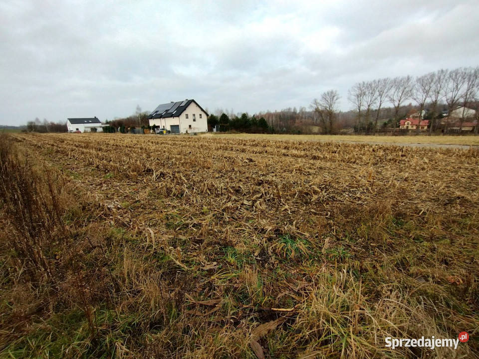 Sprzedam grunt 1700m2 PłouszowiceKolonia lubelskie Płouszowice-Kolonia sprzedam
