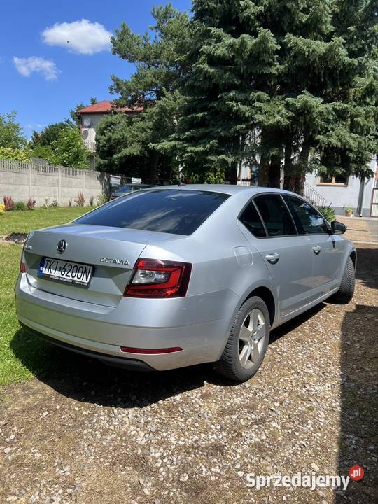 Skoda Octavia 2019 16 TDI 115 manualna Bodzentyn