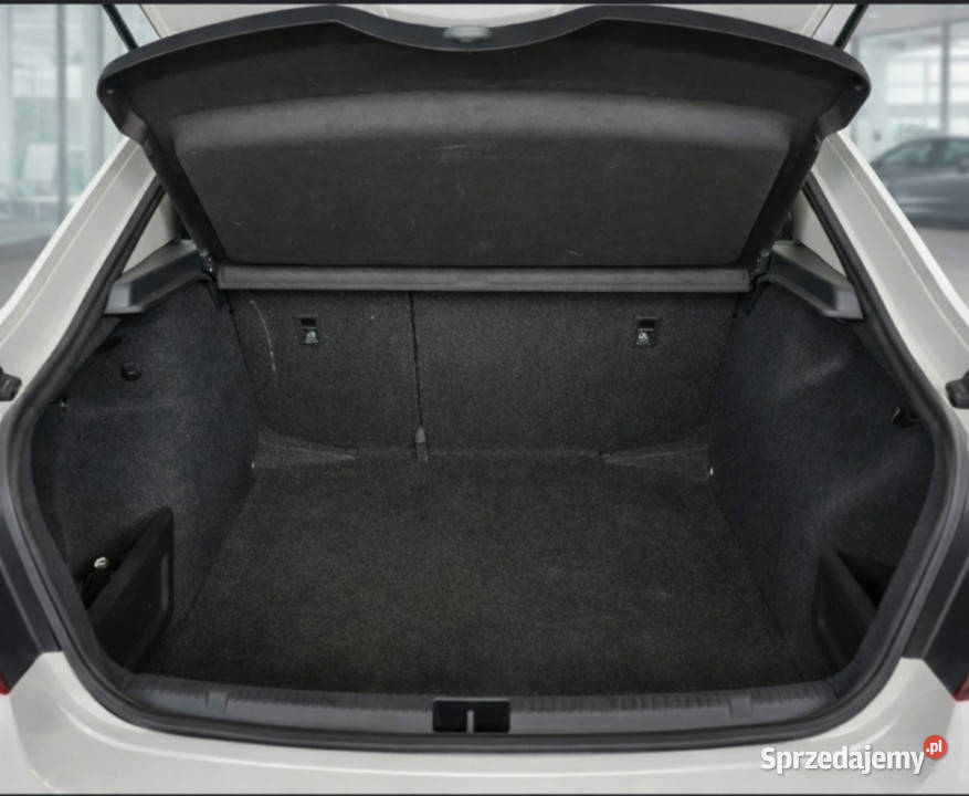 koda RAPID 2019 Salon Polska 1Właściciel Style Białystok