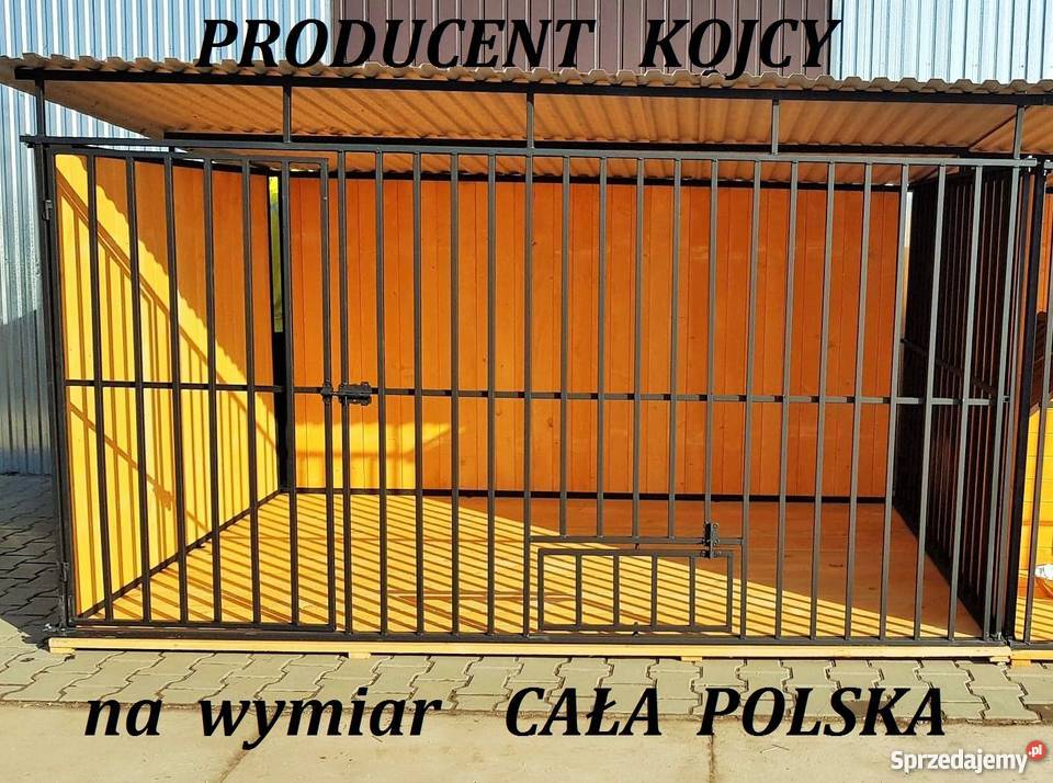 KOJEC PSA ZAGRODA PSA KOJCE NA WYMIAR PRODUCENT Warszawa