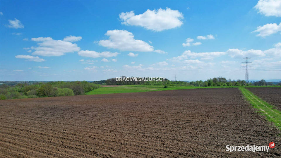 Działka 30420m2 Młodziejowice 155m
