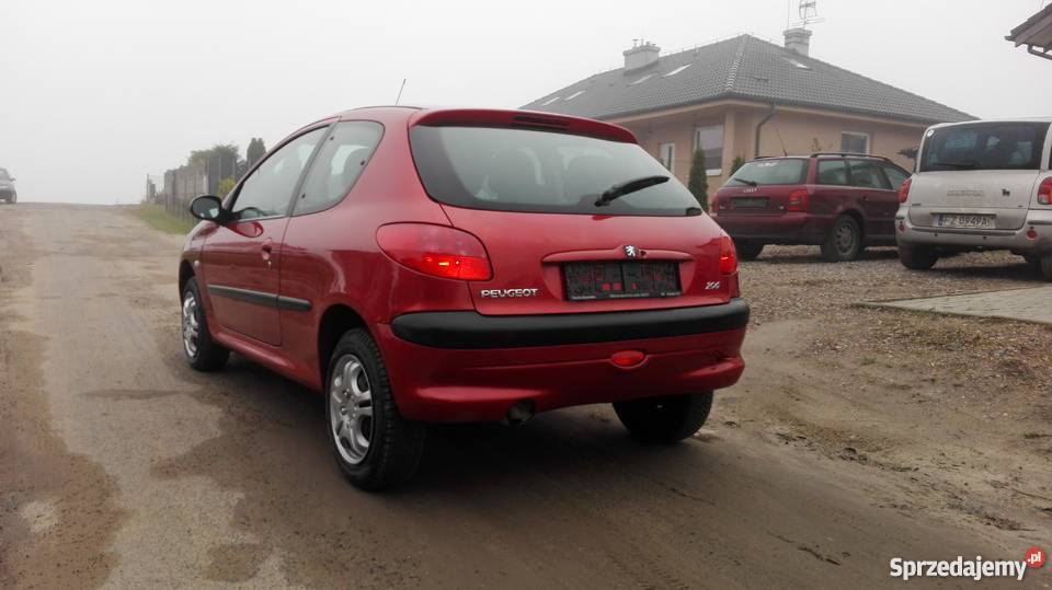Peugeot 206 Autentyczny przebieg światła do jazdy dziennej