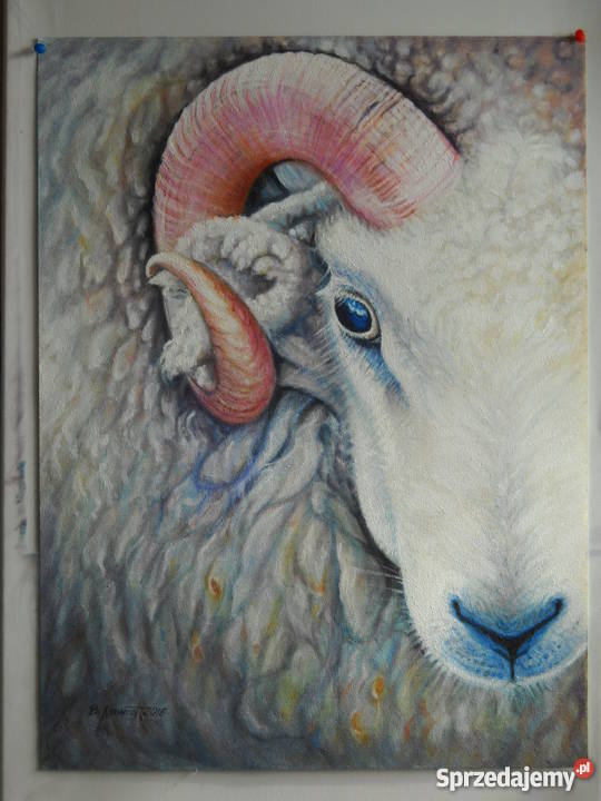 BARANolej na płótnie60x45 małopolskie