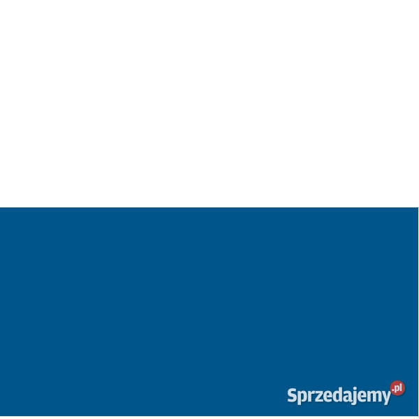 Płytki Vivida blue 30 x 60 Paradyż aktualne Białogard