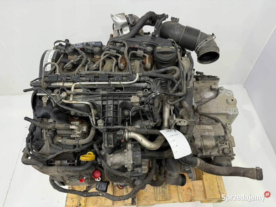 SILNIK CAY CAYD VW Caddy III IV 16 TDI 102 osobowe