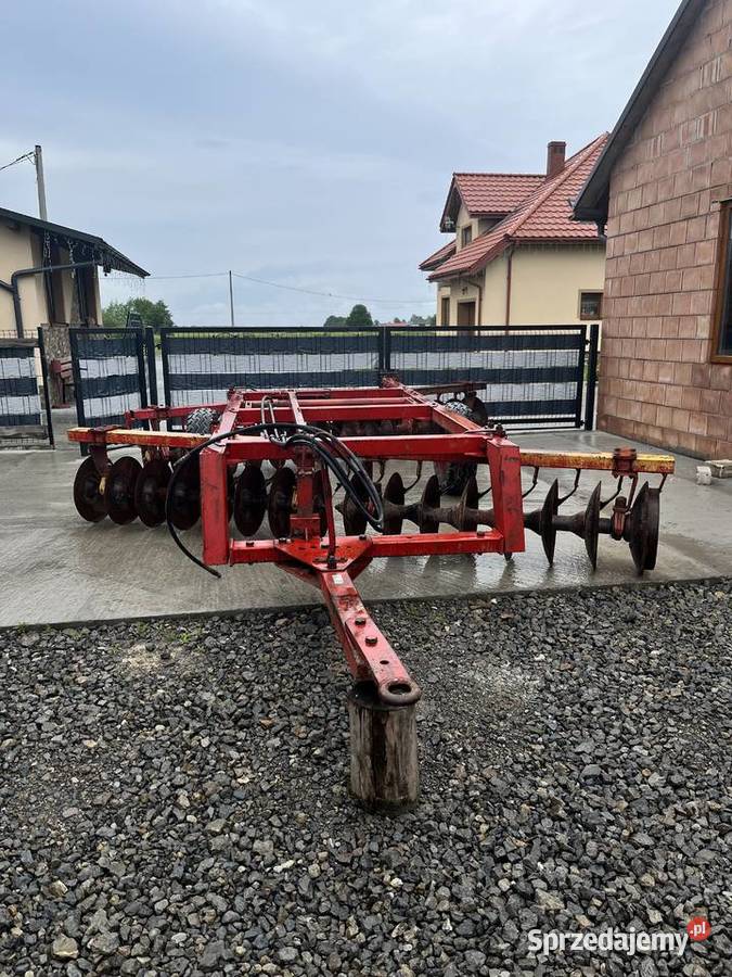 Talerzówka lila harie 16x2 Bukowina