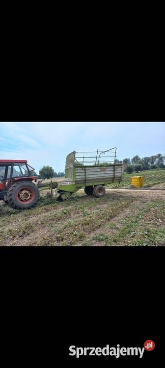 Przyczepa samozbierająca claas 4t Gąbin