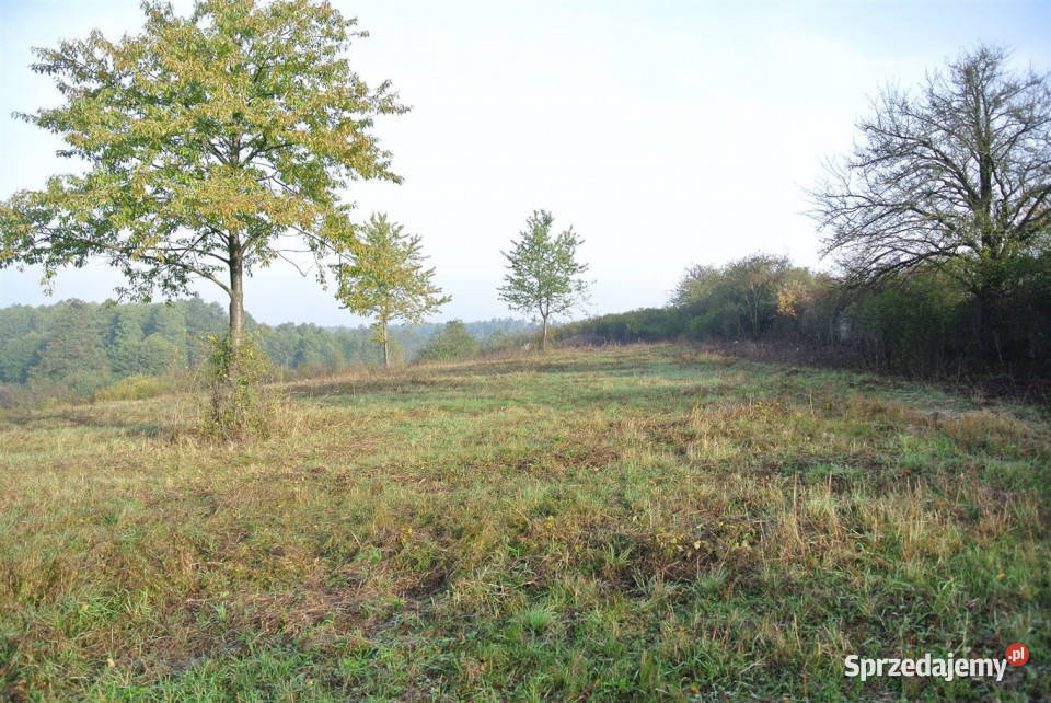 Ogłoszenie grunt 1230m2 Sobków sprzedam