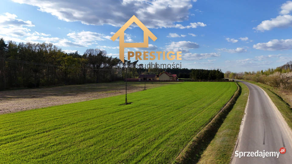 Działki budowlane lesieNowy Świat gmina Nowy Świat