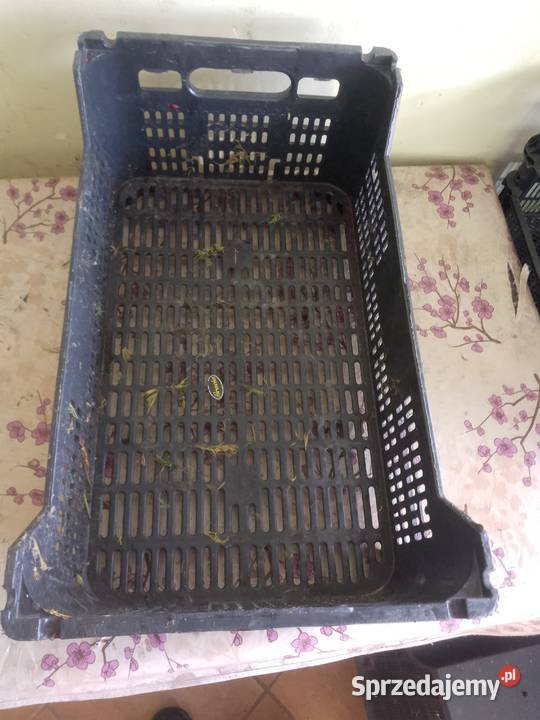 Skrzynki plastikowe pomorskie Gdańsk