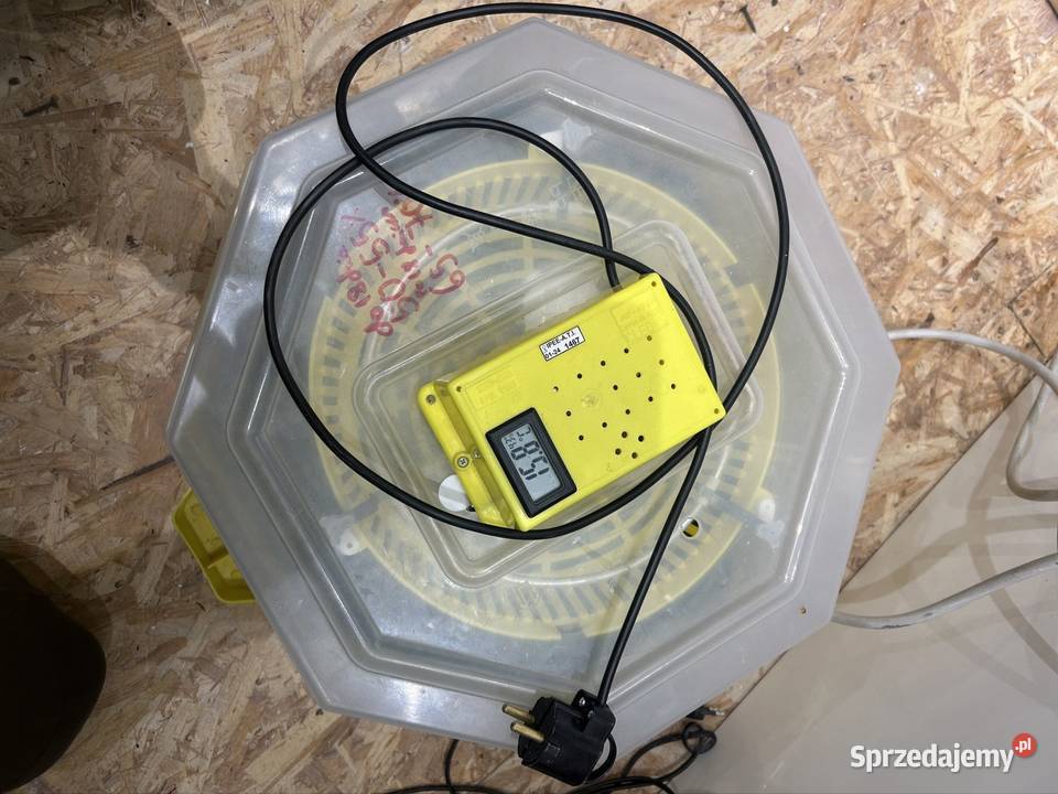 Sprzedam inkubator cleo 5 Bobowa