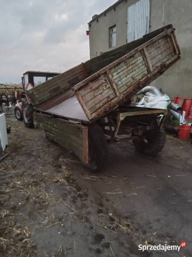 Przyczepa wywrotka autosan d43 d45 d35d d47 Przyczepy rolnicze Gniezno sprzedam