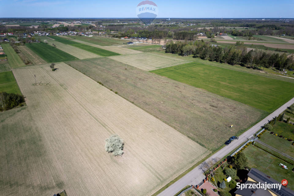 Inwestycja 20 działek w Puszczy Kozienickiej Czarna Kolonia sprzedam